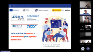 Webinar - Guía practica de ayudas y subvenciones