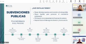 Webinar - Guía práctica de ayudas y subvenciones